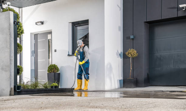 Best Roof Cleaning and Mildew Removal in Andrews, TX